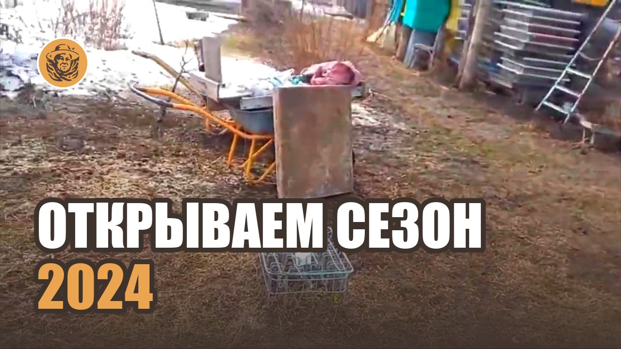 Все о нашей пасеке