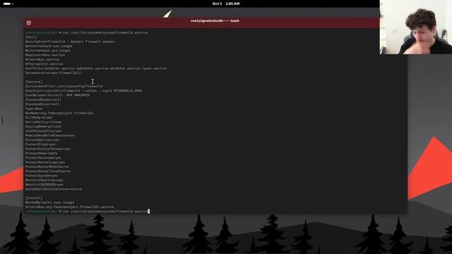 Выполнение лабораторной работы №5