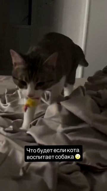 Юмор 9 часть