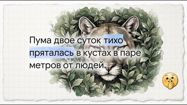 Животные
