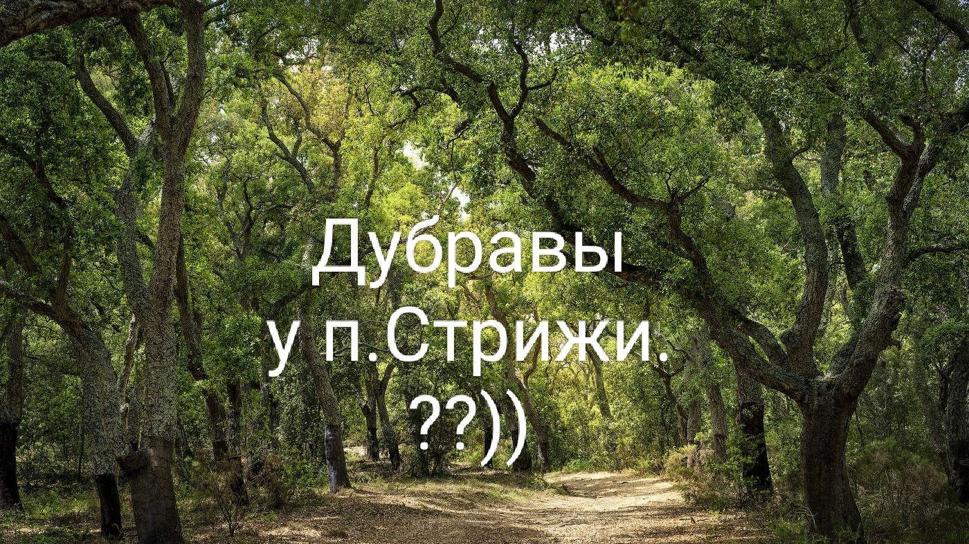 Рассуждалки...