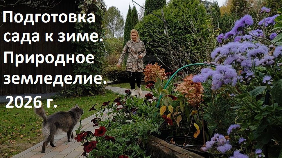 Готовим сад к зиме. Природное земледелие.