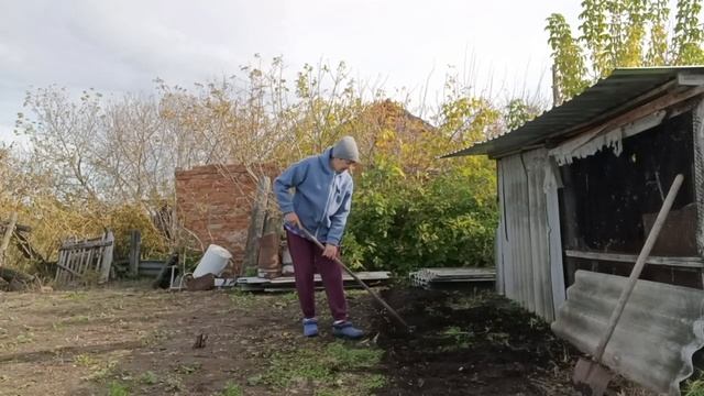 Вроде управилась/Саша в помощниках/