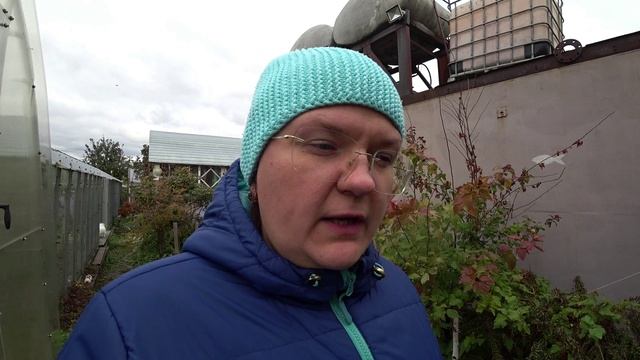Проволочник. Что делать?