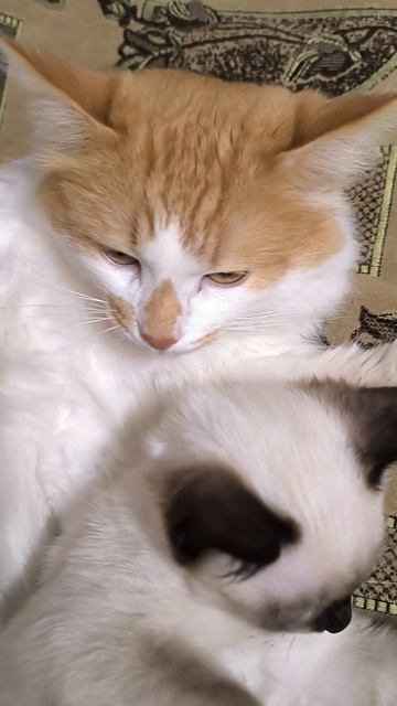 Любовь да т только ❤️