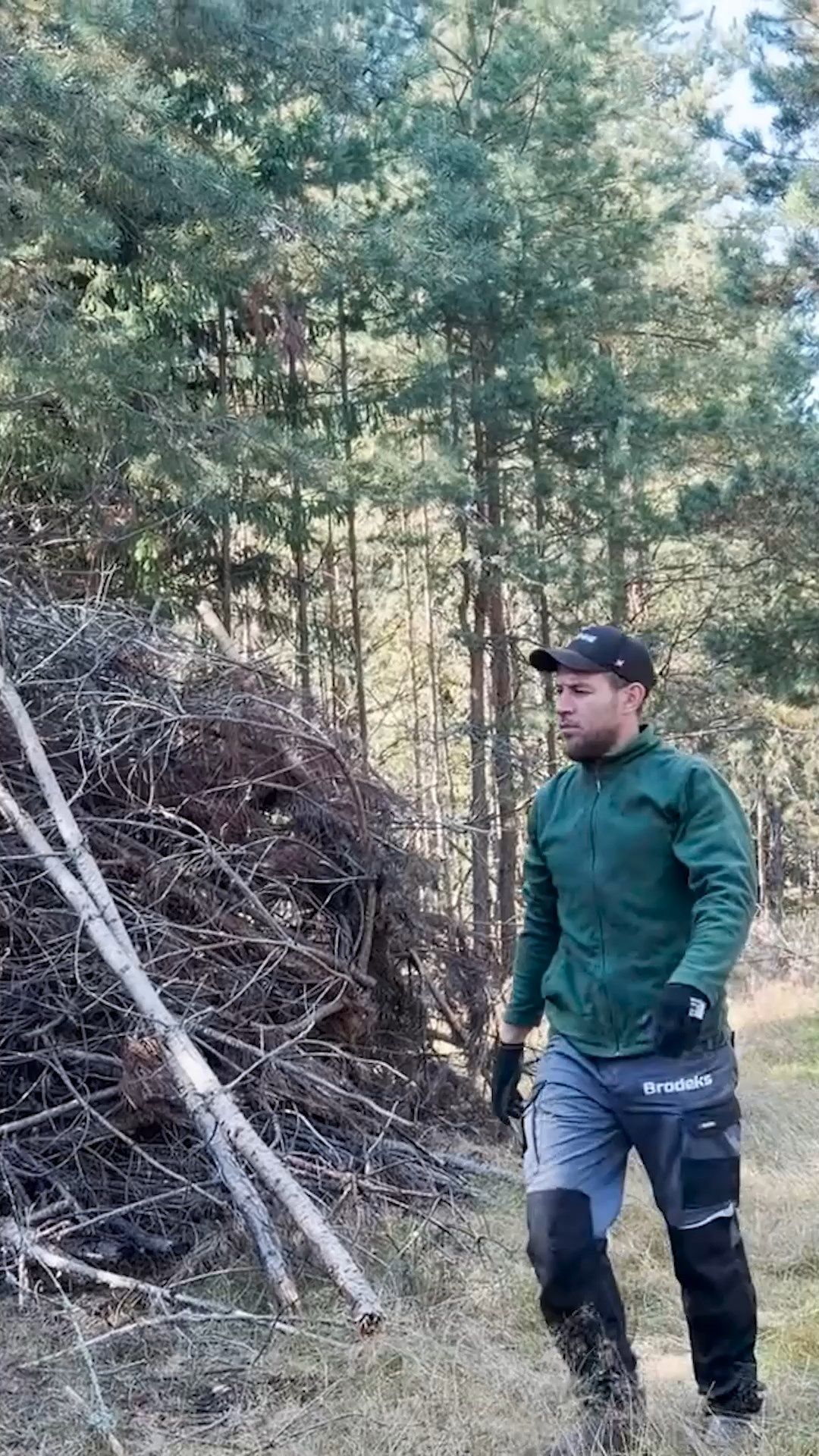 Как вычищаем лес от веток и поваленных деревьев