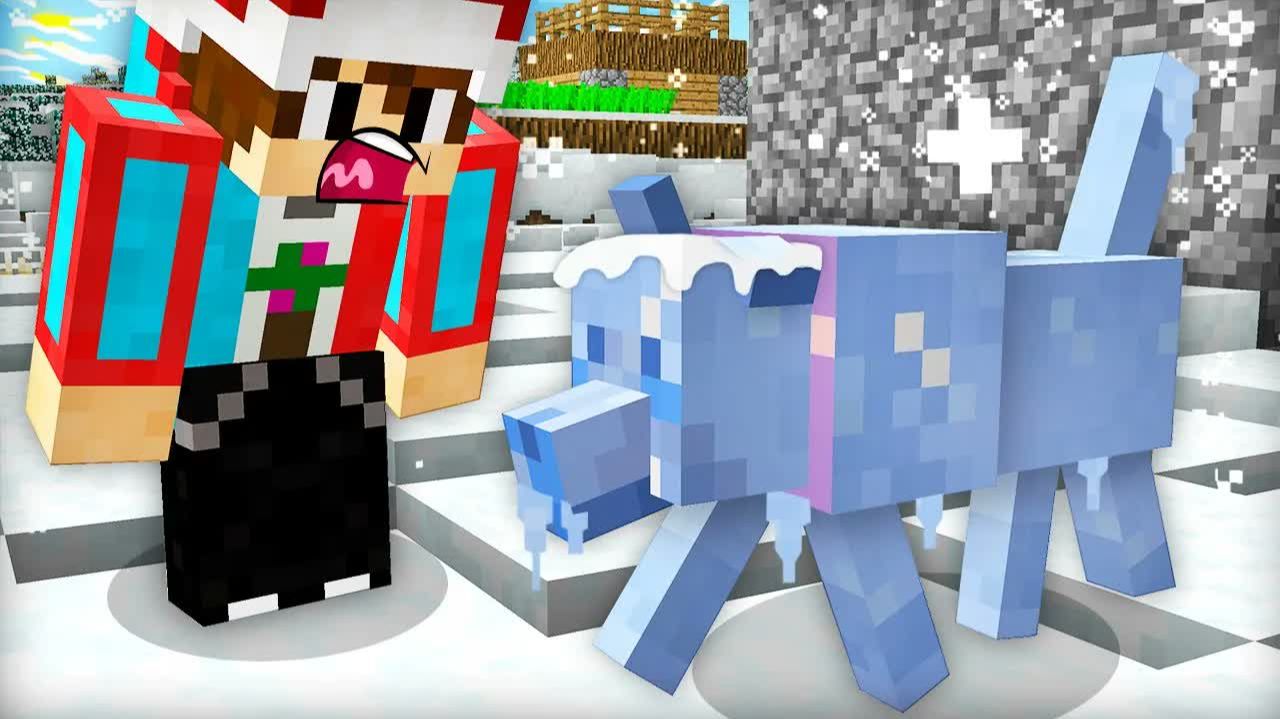 Я СПАС ЗАМЁРЗШУЮ СОБАКУ В МАЙНКРАФТ ｜ Компот Minecraft