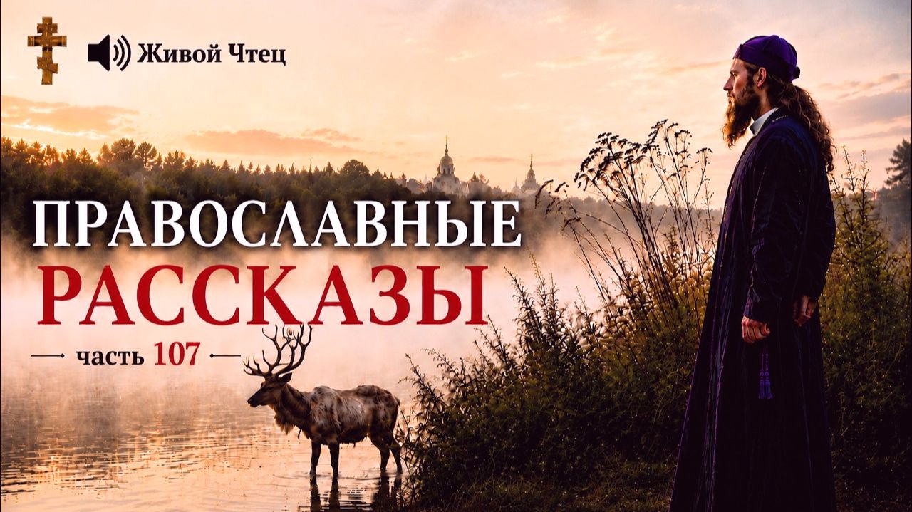 БРАТЬЯ ДЕЛИЛИ ДОМ... Чудеса Спиридона Тримифунтского... ДУШЕВНЫЕ РАССКАЗЫ часть 107