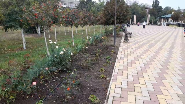 Цветы у Собора....