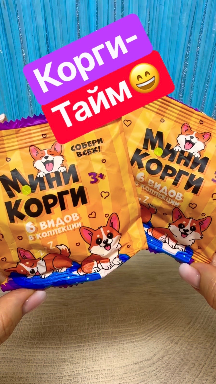 Распаковка мини-Сюрпризов с Корги✨