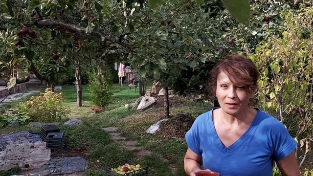 Моё видео