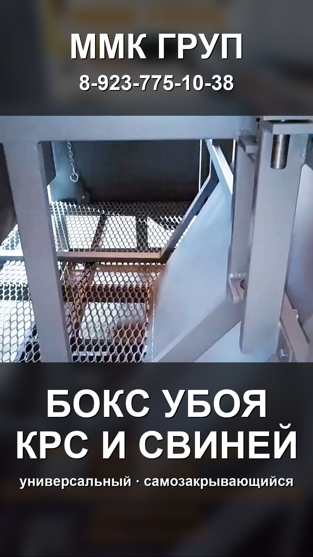Оборудование для цехов убоя