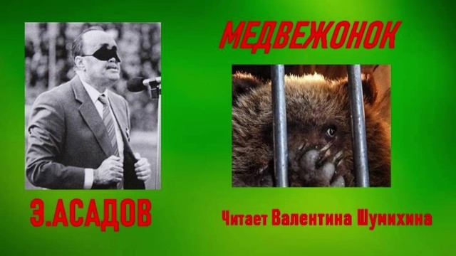 Э. АСАДОВ