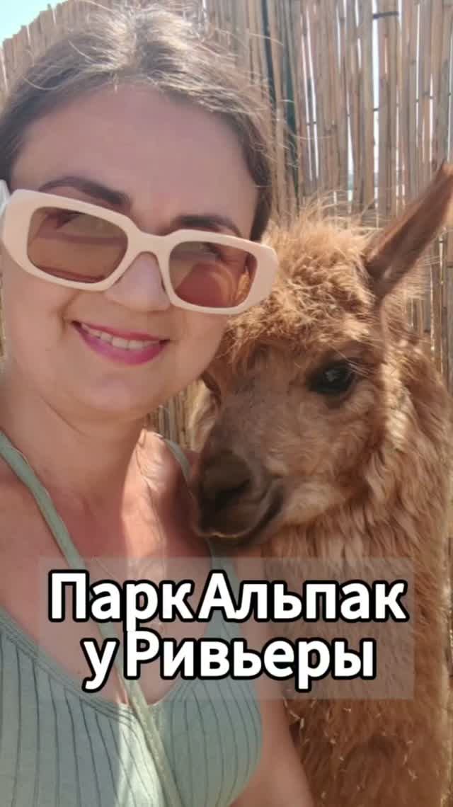 Казань