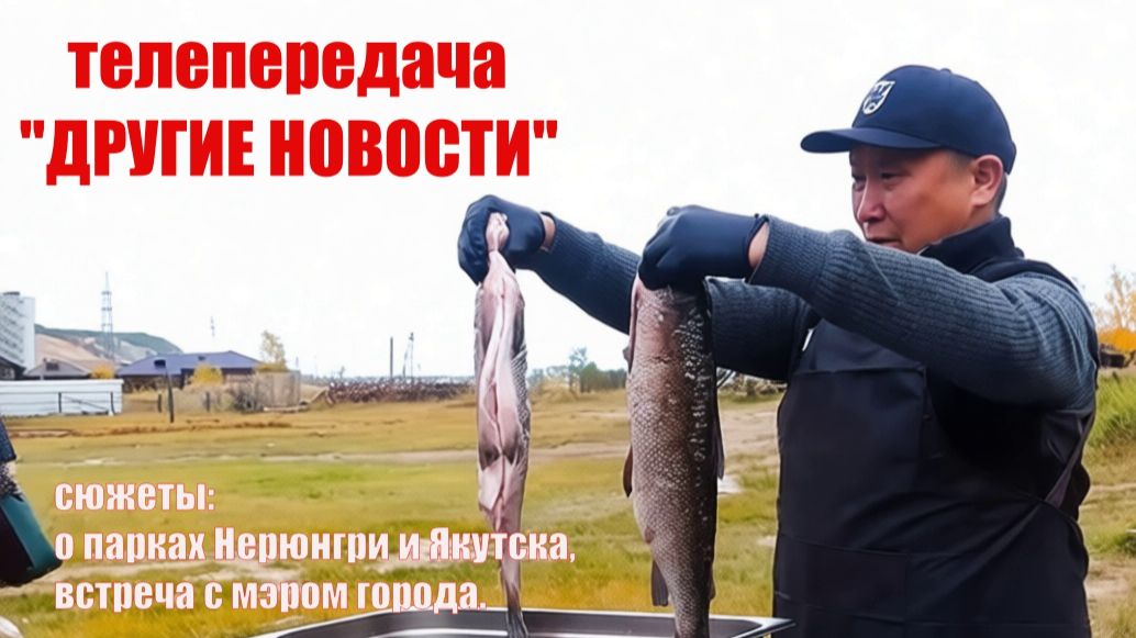 ТВ - Другие Новости