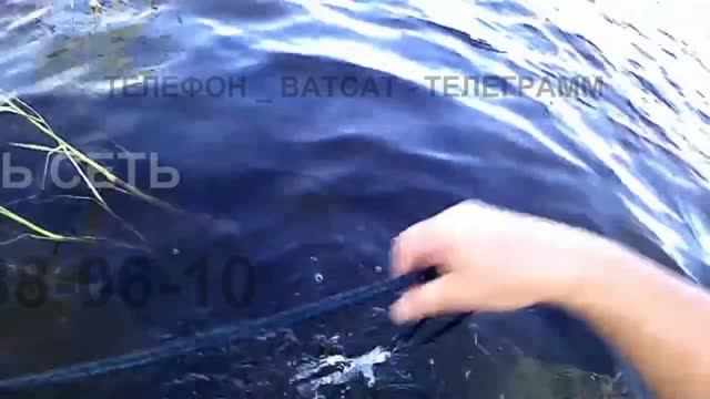 Рыболовная Мережа для отлова рыбы