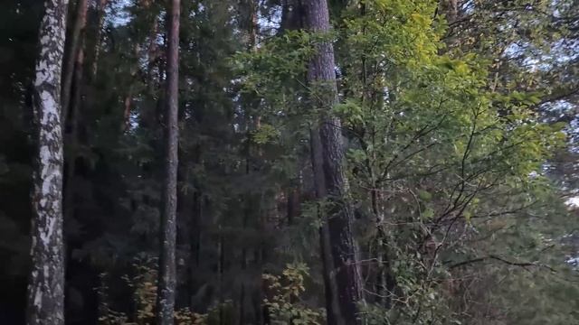 Глухая сторона истории