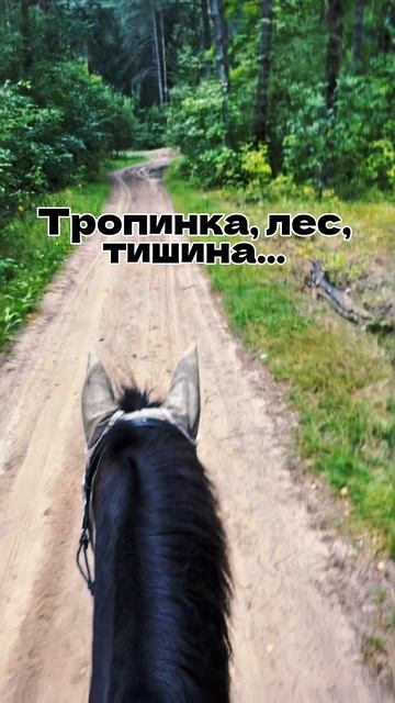 Правильный фокус