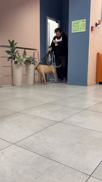rutube.ru