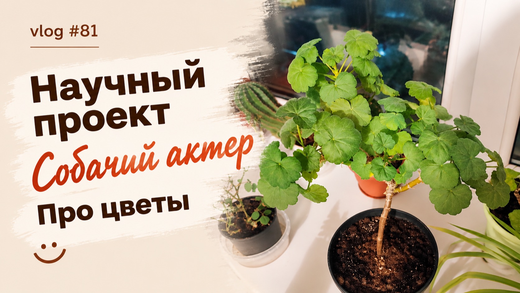 Влоги
