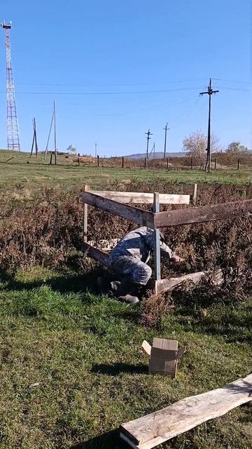 Подкармливаем коров в пастухе