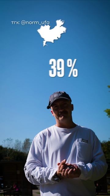 НормОбзор SHORTS