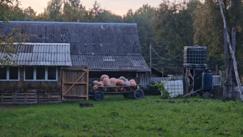 хуторяни