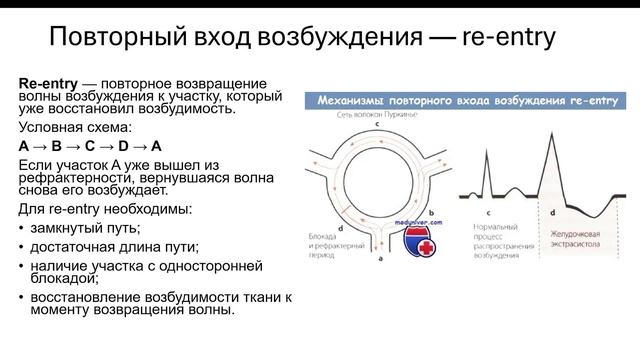 Нормальная физиология
