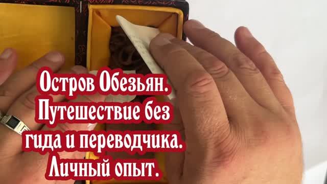 Путешествие на остров Обезьян без гидов и переводчиков. Остров Хайнань. Китай.