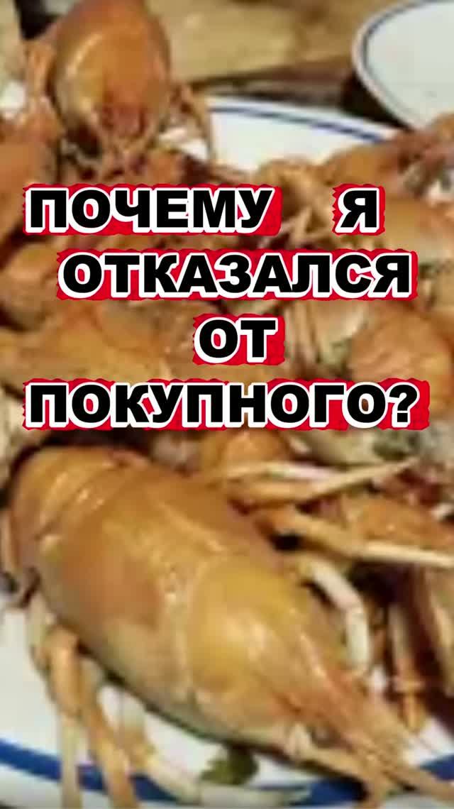 Домашние напитки. Личный опыт