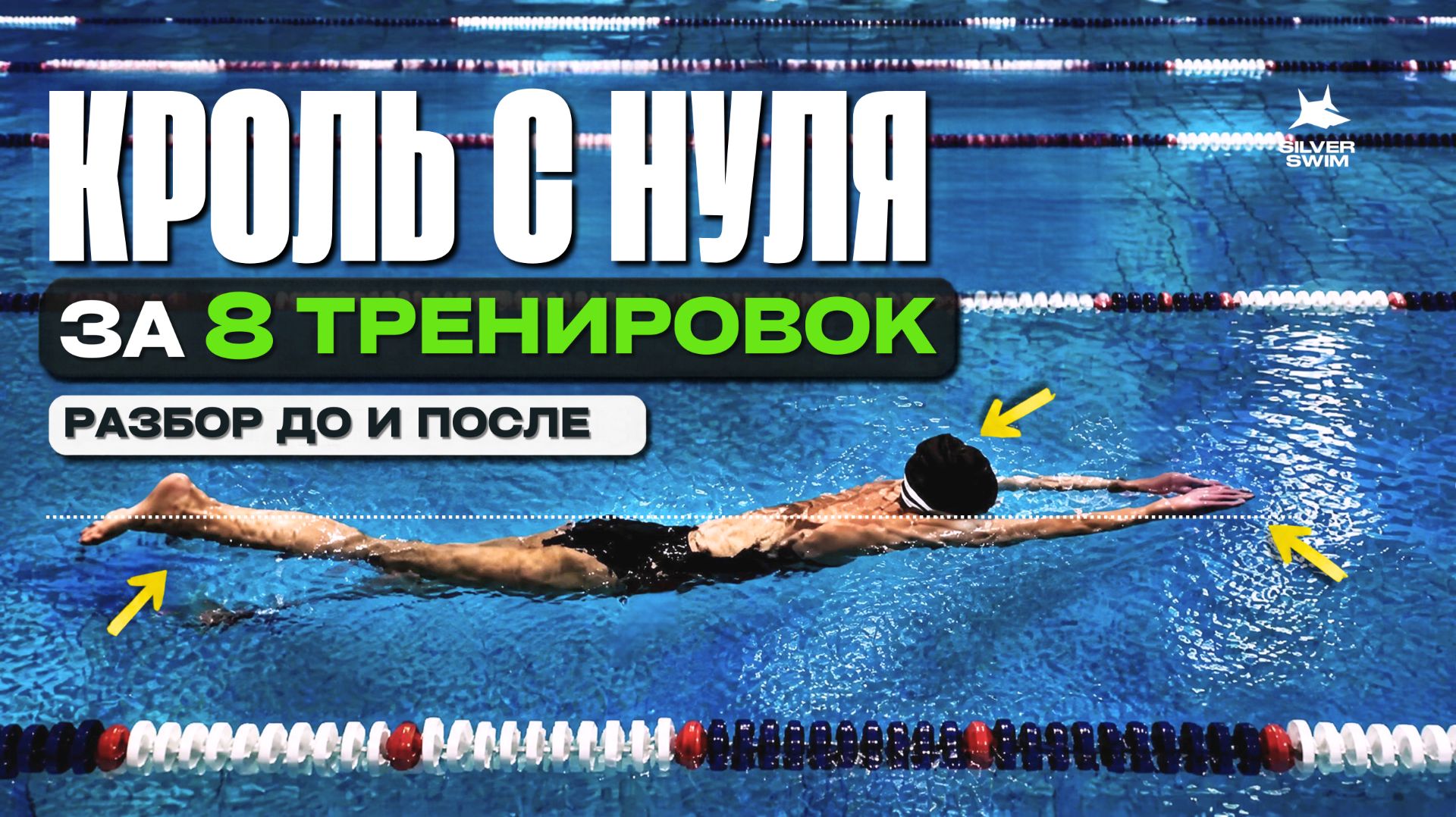 Обучение плаванию с нуля за 8 тренировок: методика Silver Swim