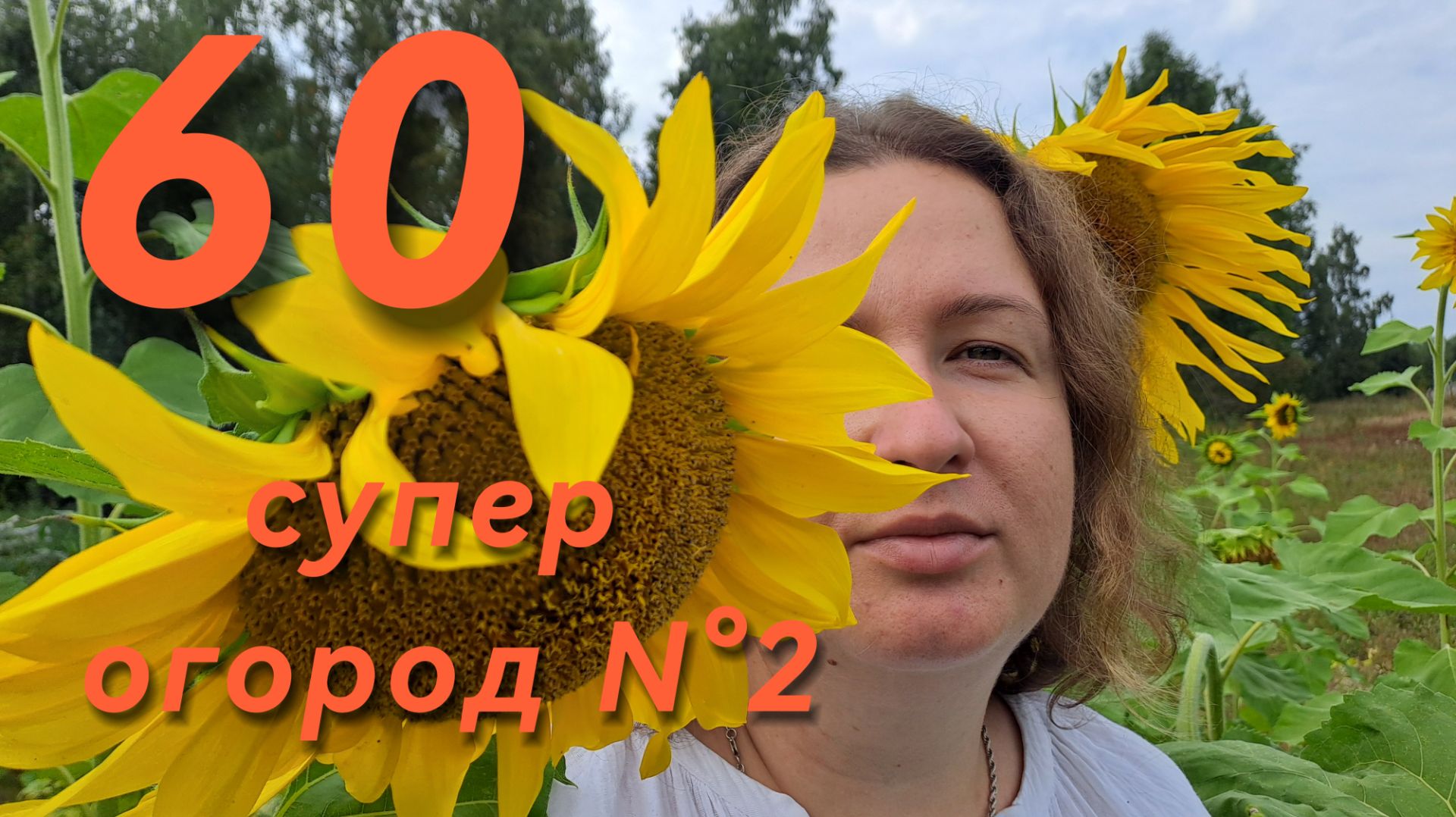 КУПИЛИ ДОМ В ДЕРЕВНЕ  \\  2026