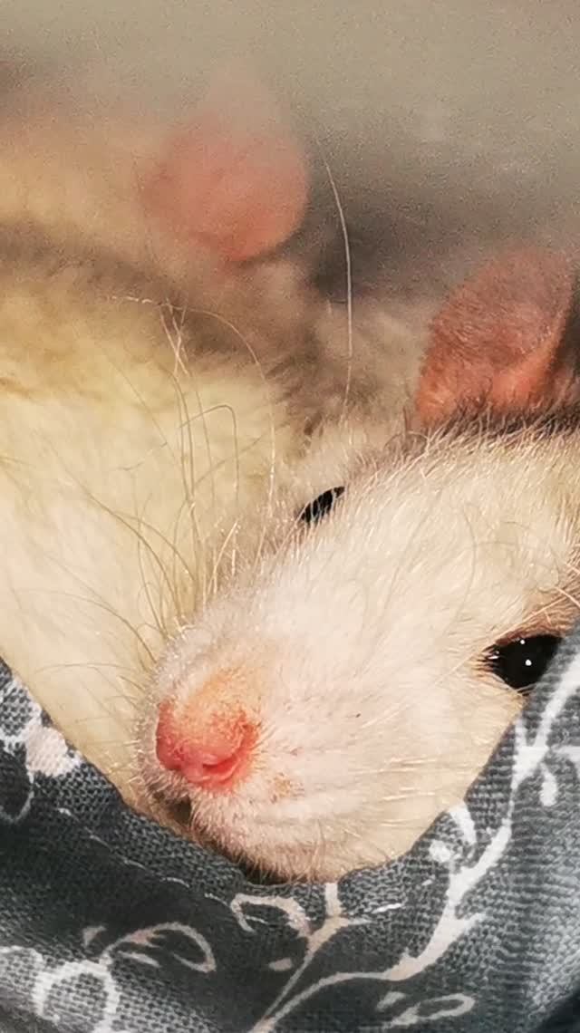 Короткие