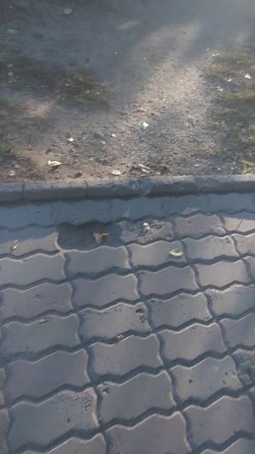 клипы