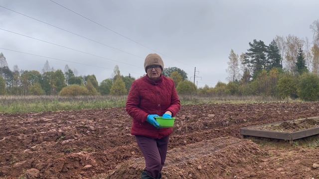 Сад и огород