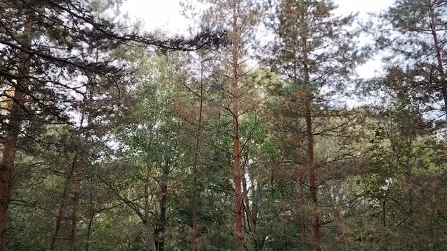 Немного о психологии