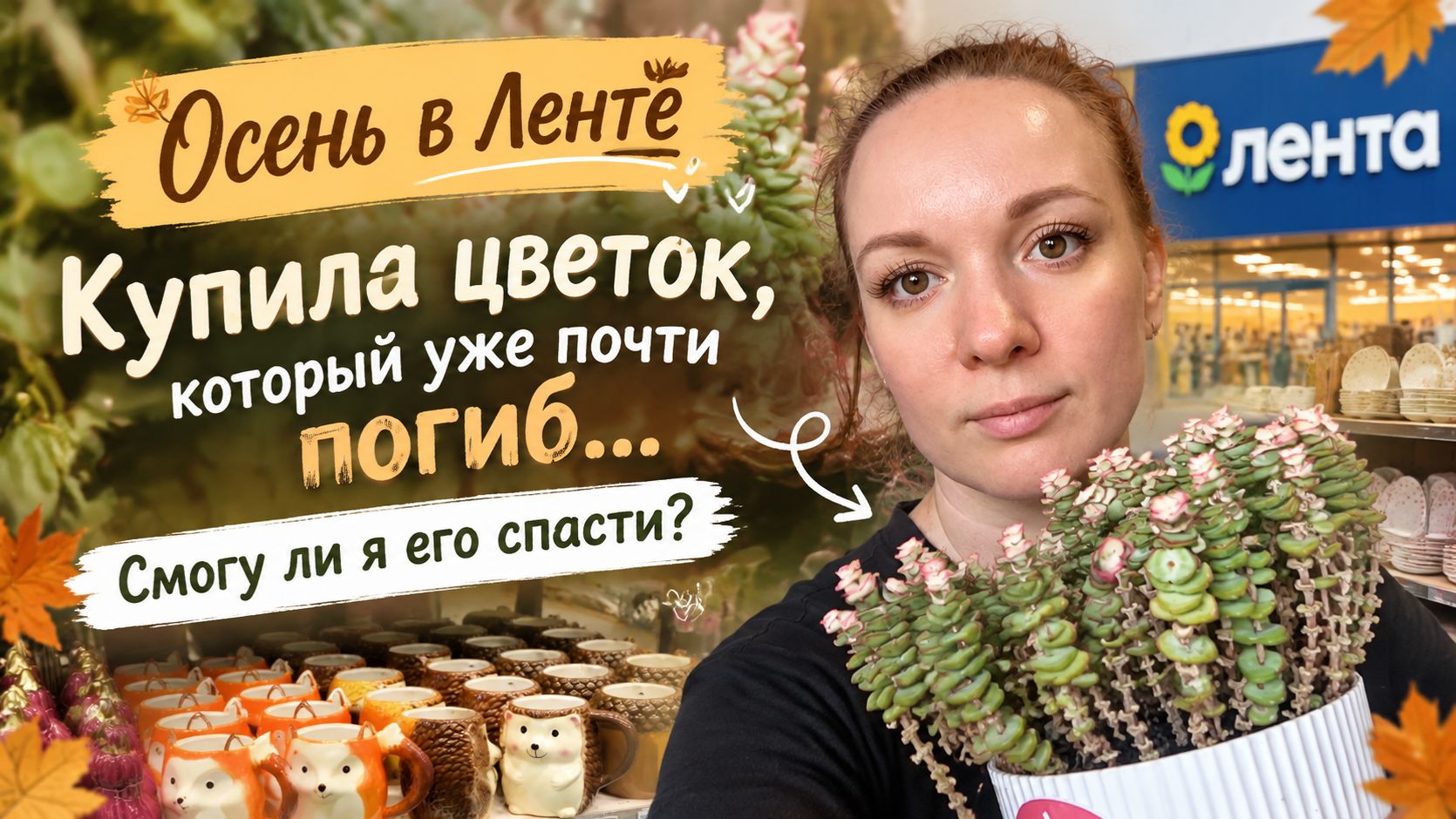 Влоги
