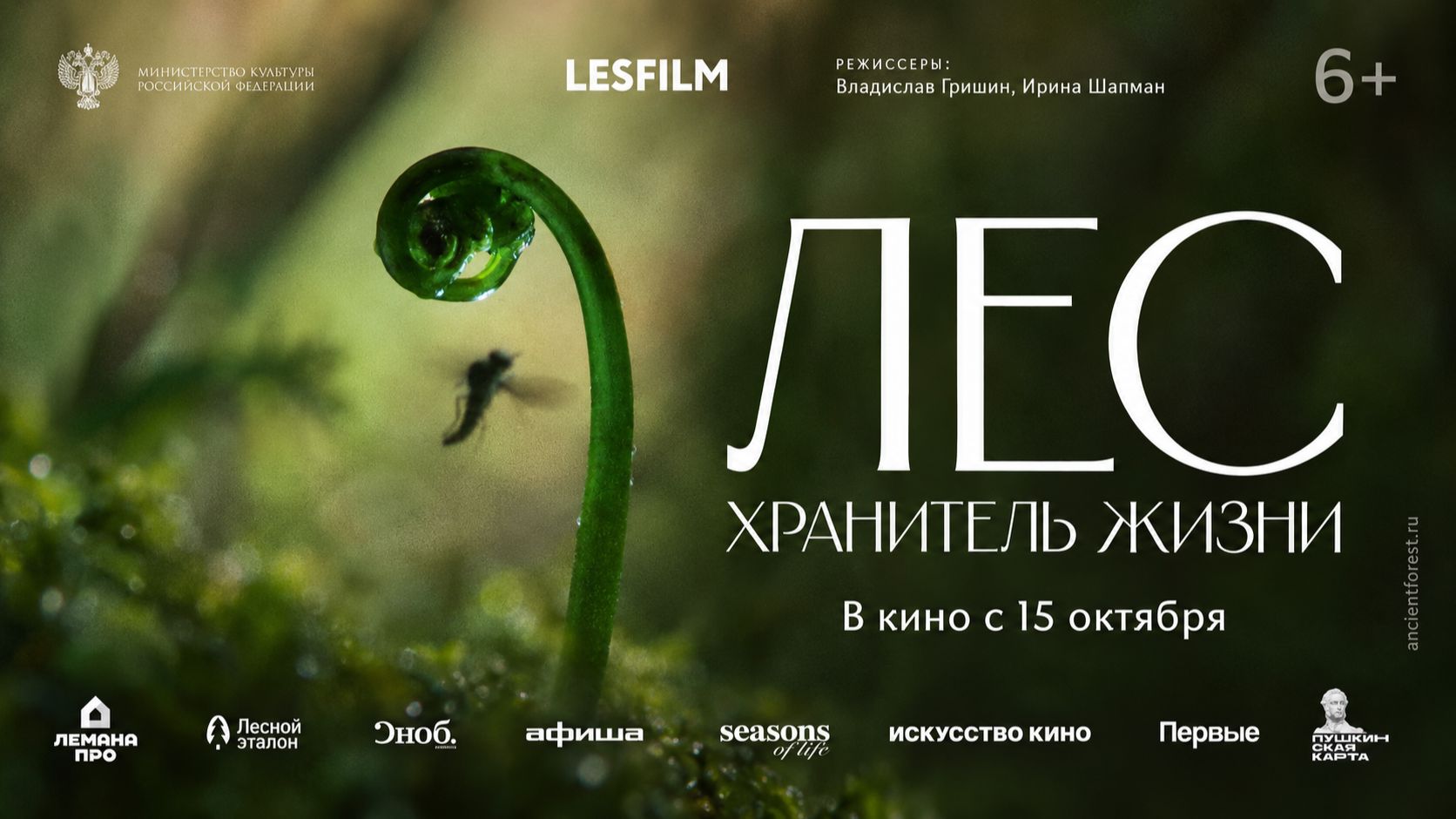 Лес. Хранитель жизни