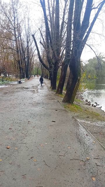 Путешествие