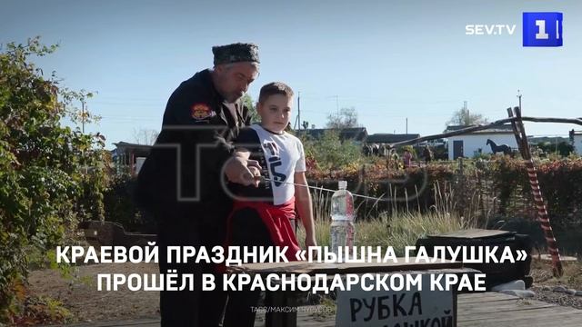 Без комментариев