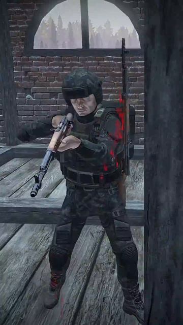STALKER - DAYZ