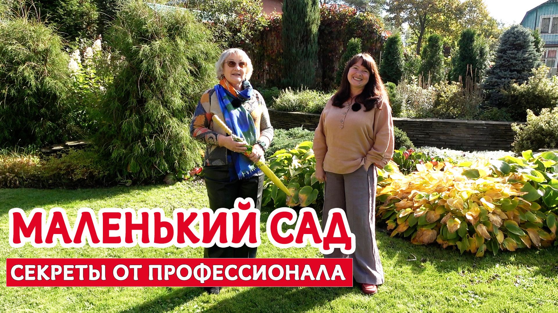 КРАСИВЫЙ САД на 6 СОТКАХ - это возможно! Секретные приёмы от ландшафтного дизайнера.