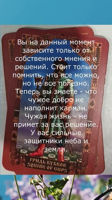 Сказка жизни. Оскар только для Вас!