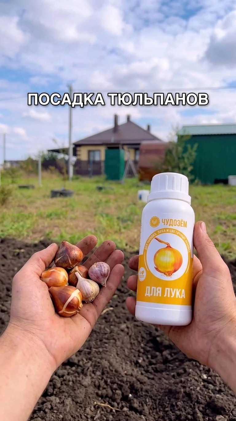 Домик на хуторе