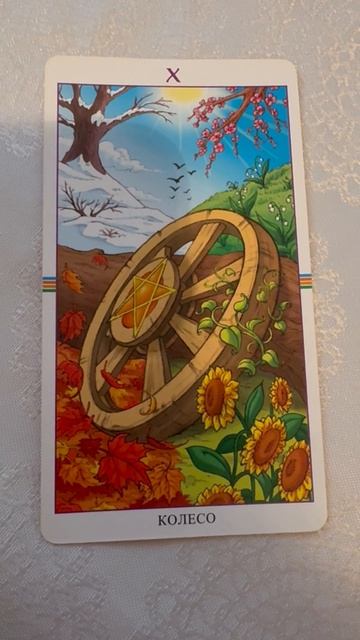🦚КАРТА ДНЯ🍀