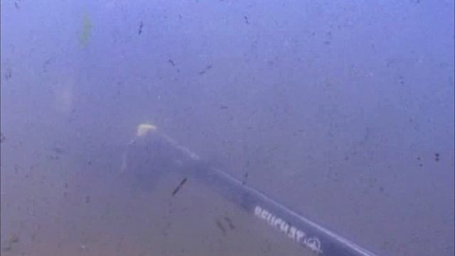 Большое РЫБОЛОВНОЕ ПРИКЛЮЧЕНИЕ