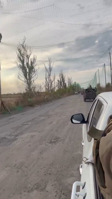 СВО