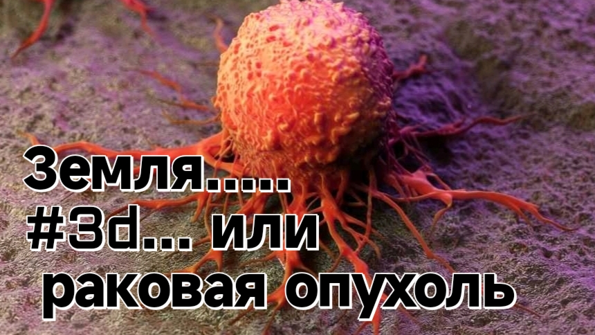 2026 ШАНС