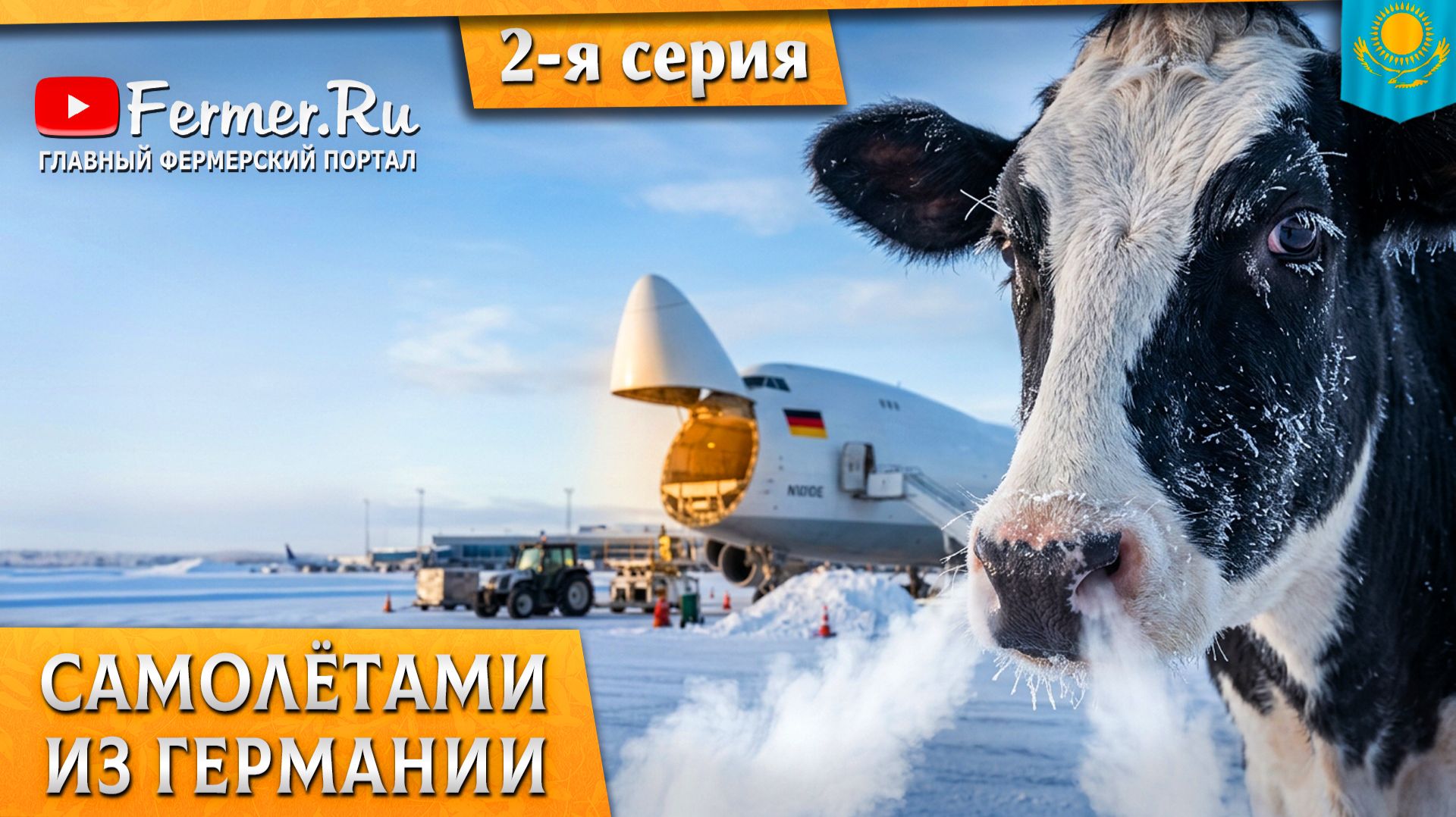 Из тёплой Европы в −25°C. Опыт завоза нетелей в Казахстан. 2-я серия. ТОО «СК Агро 2050»