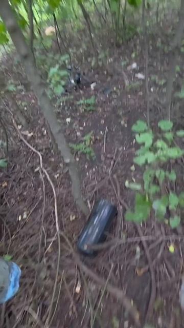 СВО